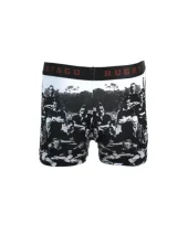 BOXER - TEAM