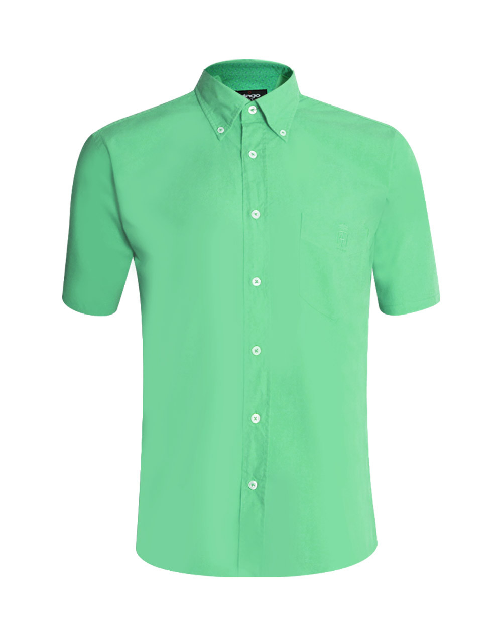 Chemise Oxford Otago vert anis homme