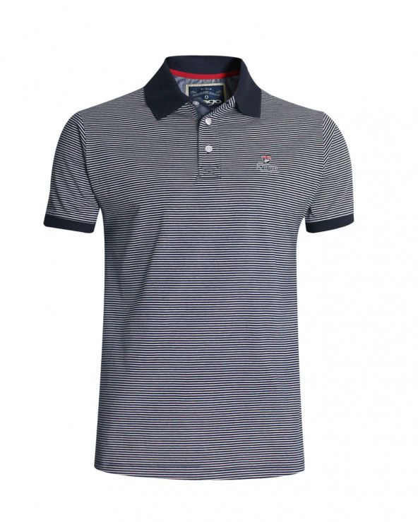 Polo manches courtes Griffax Otago rugby bleu marine rayé pour homme