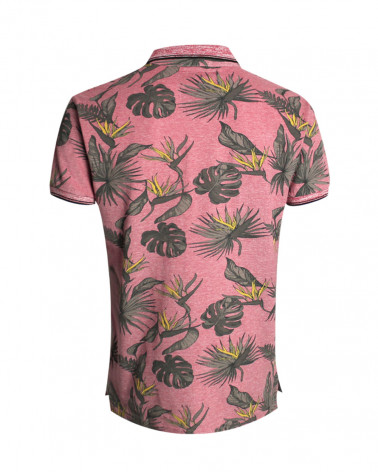 Dos du polo Pawai Otago paprika rosepour homme