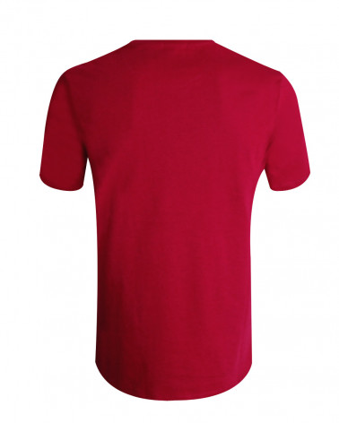 Dos du tee-shirt Caskabarb Otago hibiscus red pour homme