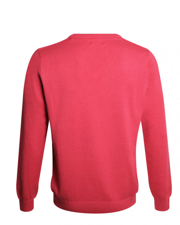 dos du Pull col V homme CARBUN Otago marsala