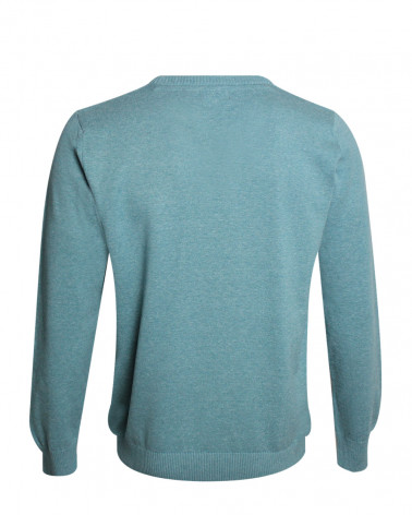 dos du Pull col V pour homme CARBUN Otago vert clair
