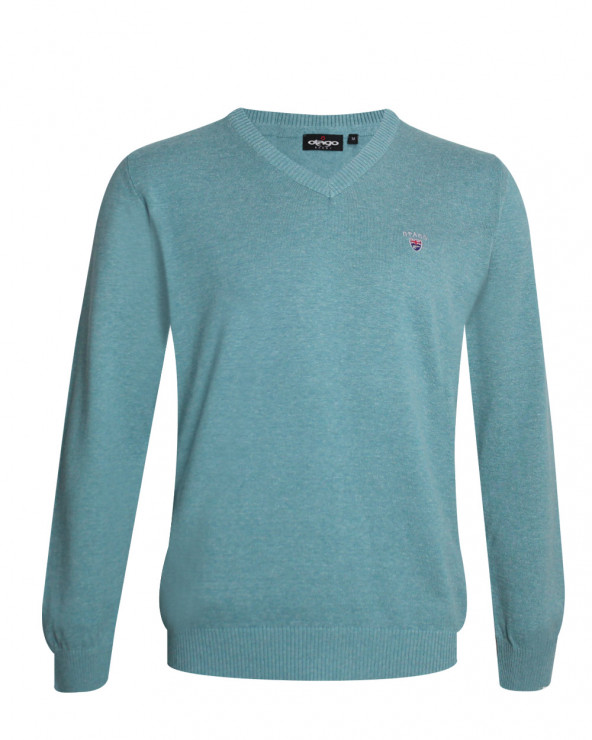 face du Pull col V pour homme CARBUN Otago vert clair