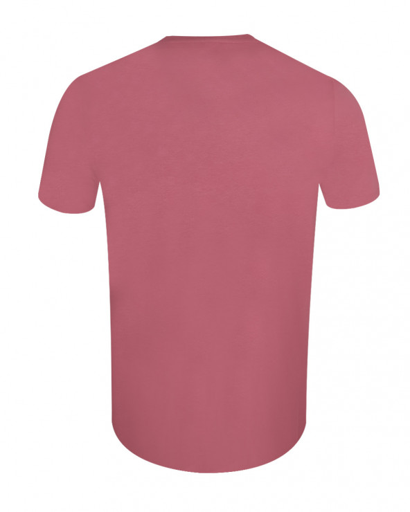dos du Tee-shirt Sawyers Otago rugby antique rose pour homme