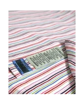 295 CHEMISE ML OTAGO RAYEE MULTICOLORE