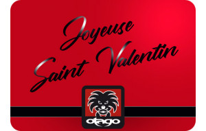 
			                        			Joyeuse Saint Valentin